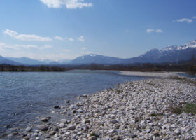 Fiume_Piave_018